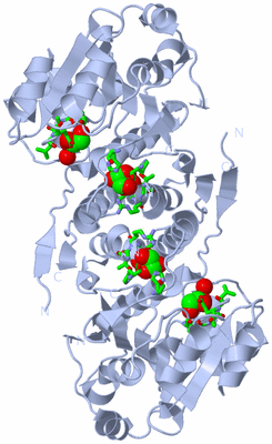 Image Biol. Unit 1 - sites