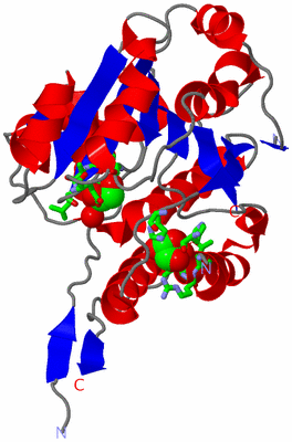 Image Asym. Unit - sites