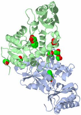 Image Biological Unit 1