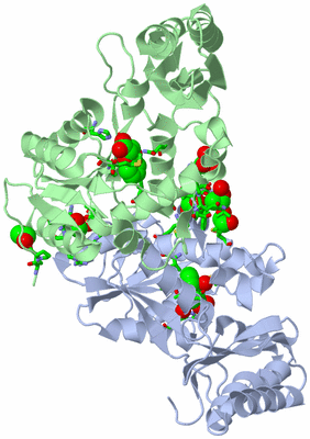 Image Biol. Unit 1 - sites