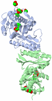 Image Biological Unit 2