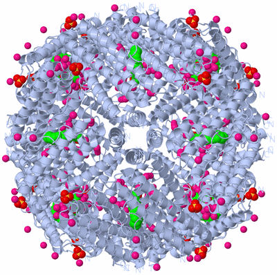 Image Biological Unit 1