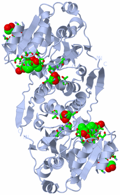 Image Biol. Unit 1 - sites