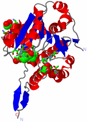 Image Asym. Unit - sites