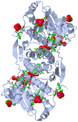 Image Biol. Unit 1 - sites