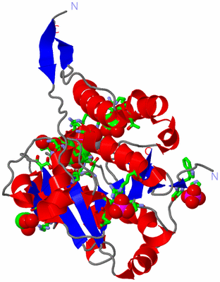 Image Asym. Unit - sites