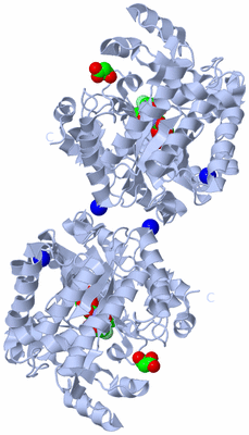 Image Biological Unit 1