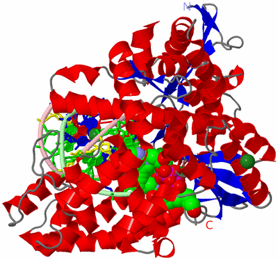 Image Asym./Biol. Unit