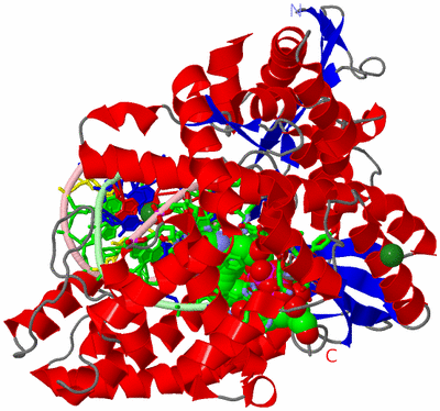 Image Asym./Biol. Unit - sites