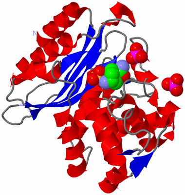 Image Asym./Biol. Unit