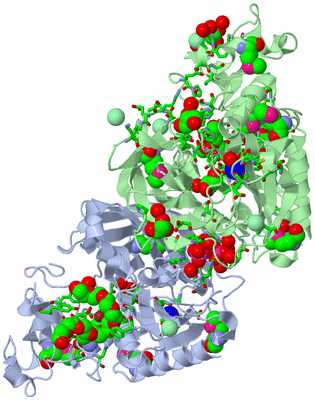 Image Biol. Unit 1 - sites