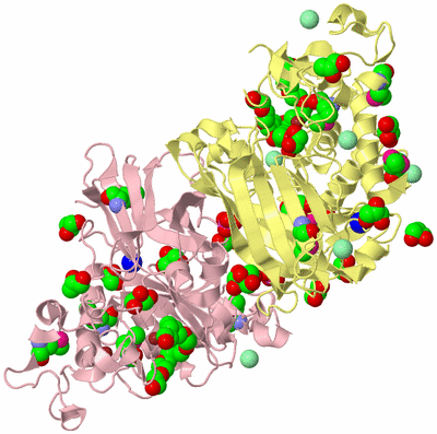 Image Biological Unit 2