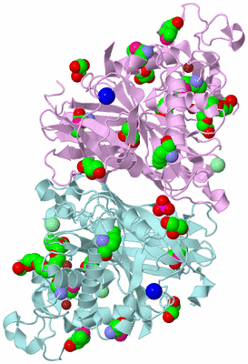 Image Biological Unit 3