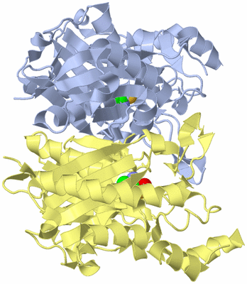 Image Biol. Unit 1 - sites