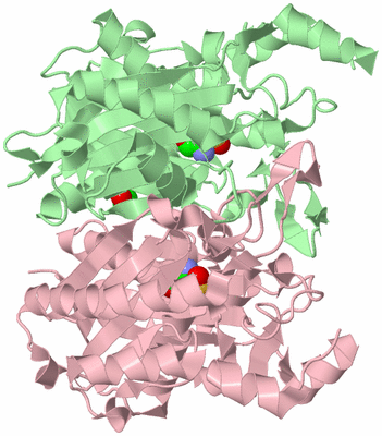 Image Biological Unit 2