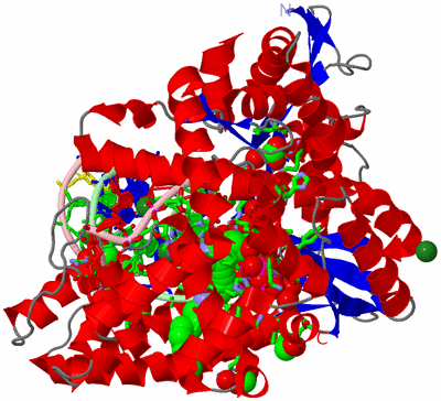 Image Asym./Biol. Unit - sites