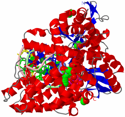 Image Asym./Biol. Unit