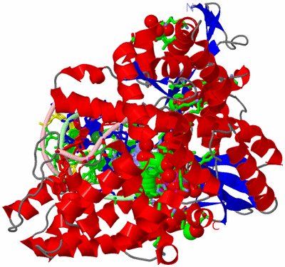 Image Asym./Biol. Unit - sites