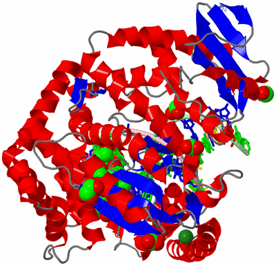 Image Asym./Biol. Unit