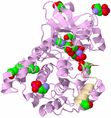 Image Asym./Biol. Unit