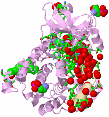 Image Asym./Biol. Unit - sites