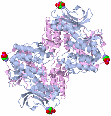 Image Biological Unit 3