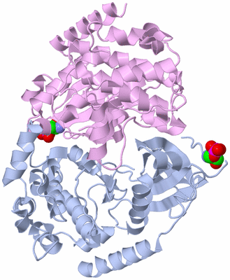 Image Biological Unit 4