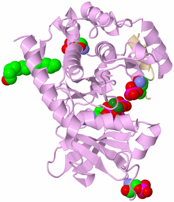 Image Asym./Biol. Unit