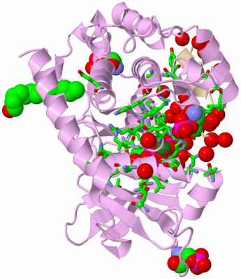 Image Asym./Biol. Unit - sites