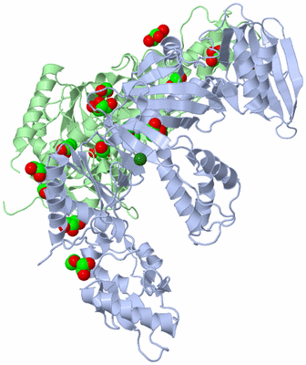 Image Asym./Biol. Unit