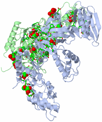 Image Asym./Biol. Unit - sites