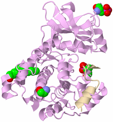 Image Asym./Biol. Unit