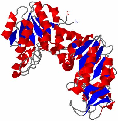 Image Asym./Biol. Unit