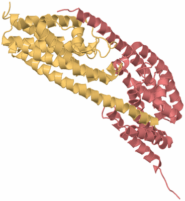 Image Biological Unit 5