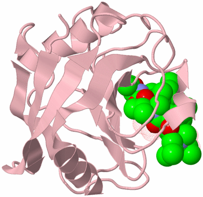 Image Biological Unit 3