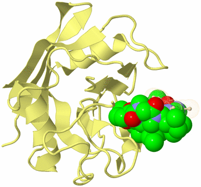 Image Biological Unit 4