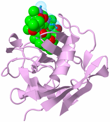 Image Biological Unit 5