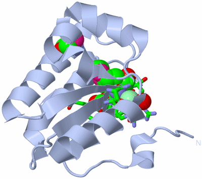 Image Biol. Unit 1 - sites