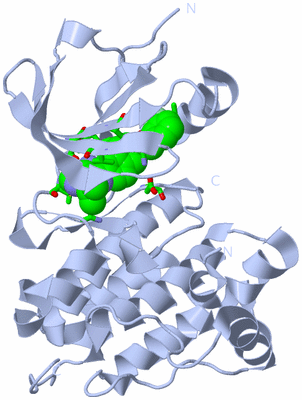 Image Biol. Unit 1 - sites