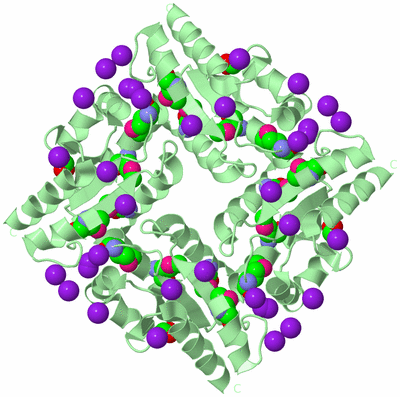 Image Biological Unit 2