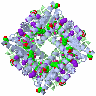 Image Biological Unit 3