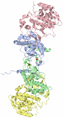 Image Asym./Biol. Unit - sites