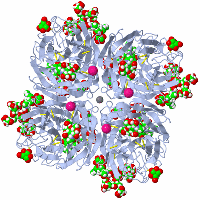 Image Biological Unit 1