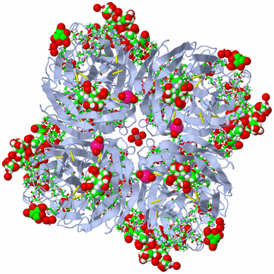 Image Biol. Unit 1 - sites