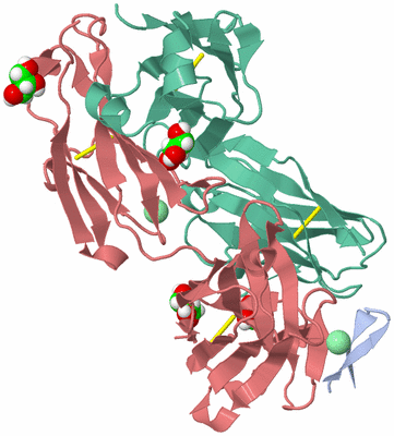 Image Asym./Biol. Unit