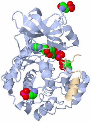 Image Asym./Biol. Unit