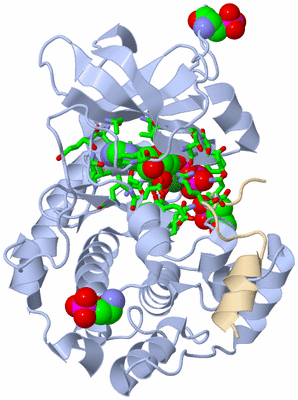 Image Asym./Biol. Unit - sites