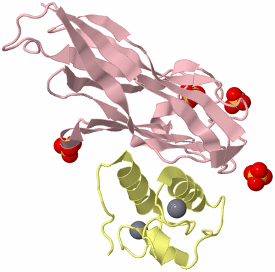 Image Biological Unit 2