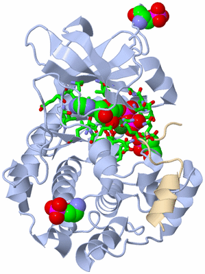 Image Asym./Biol. Unit - sites