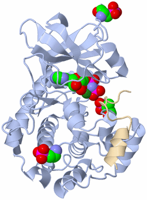 Image Asym./Biol. Unit